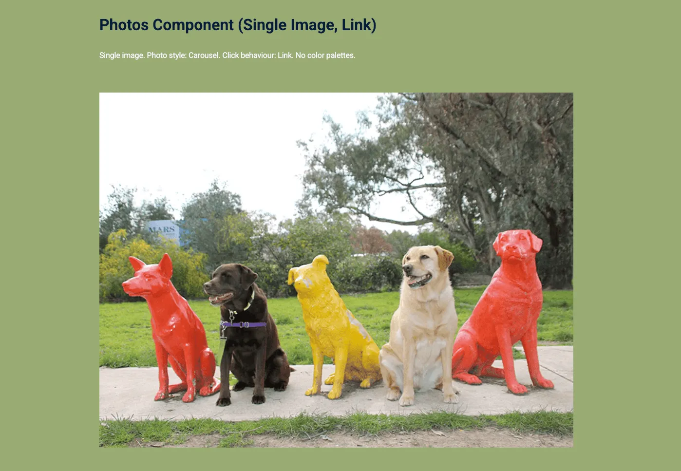 Photos — Single Image