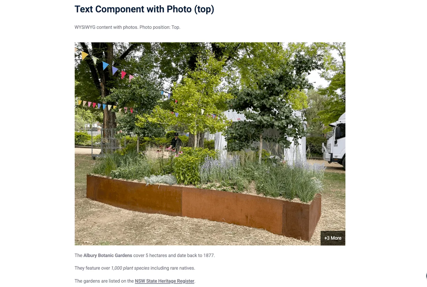 Text — Photo Position (Top)